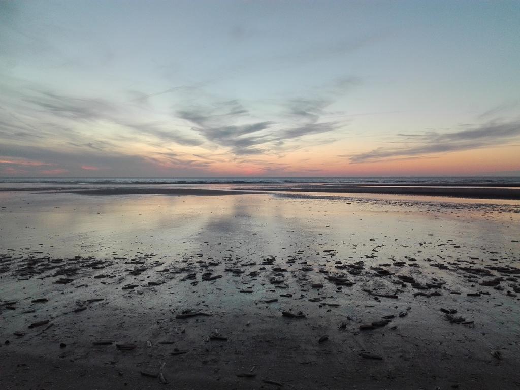 Logies Het Maantje Otel De Panne Dış mekan fotoğraf